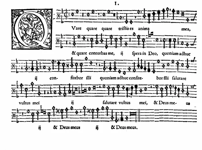 Bassus