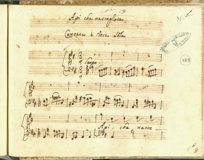First page of Api che raccogliete