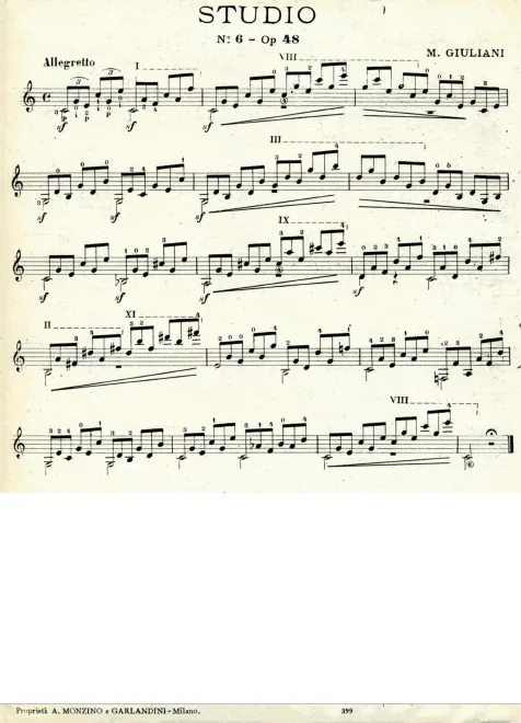 No.6