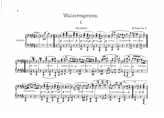 First page of 12 Walzercapricen